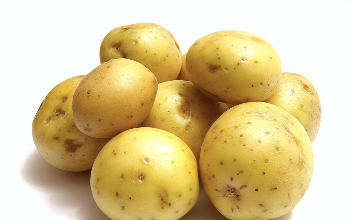 6种常见小土豆的区别和特点！